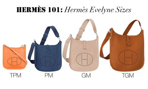 pursebop Hermes 101